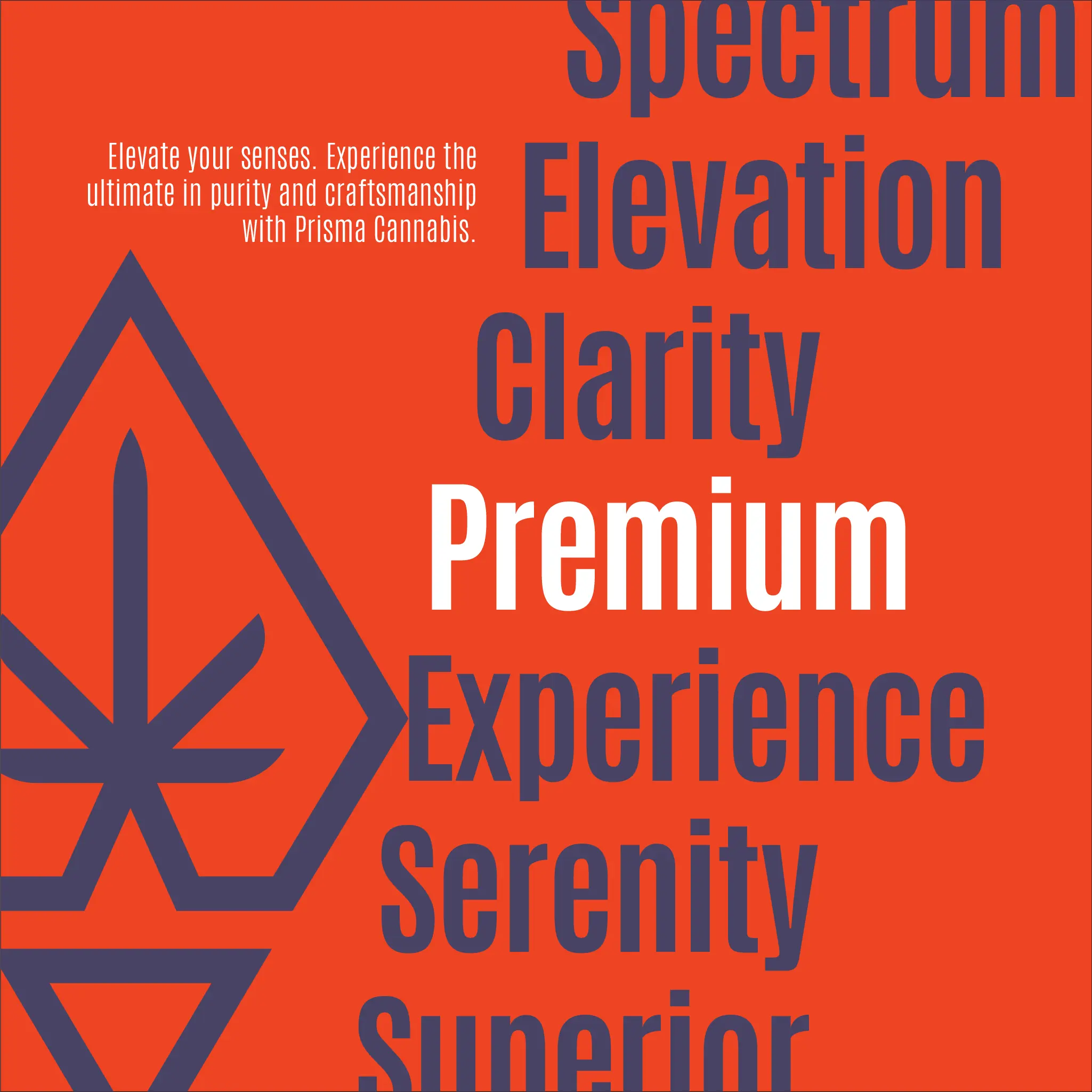 Prisma Cannabis - Brand Identity & Packaging